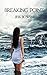 Breaking Point by Jess Bowen (2010-11-23)