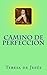 Camino de perfeccion (Spanish Edition)