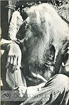 Earth Poetry: Selected Essays and Interviews, 1950-1977 Earth Poetry: Selected Essays and Interviews, 1950-1977