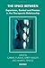 The Space Between: Experience, Context and the Process in the Therapeutic Relationship (The Systemic Thinking and Practice Series) by unknown (2004) Paperback
