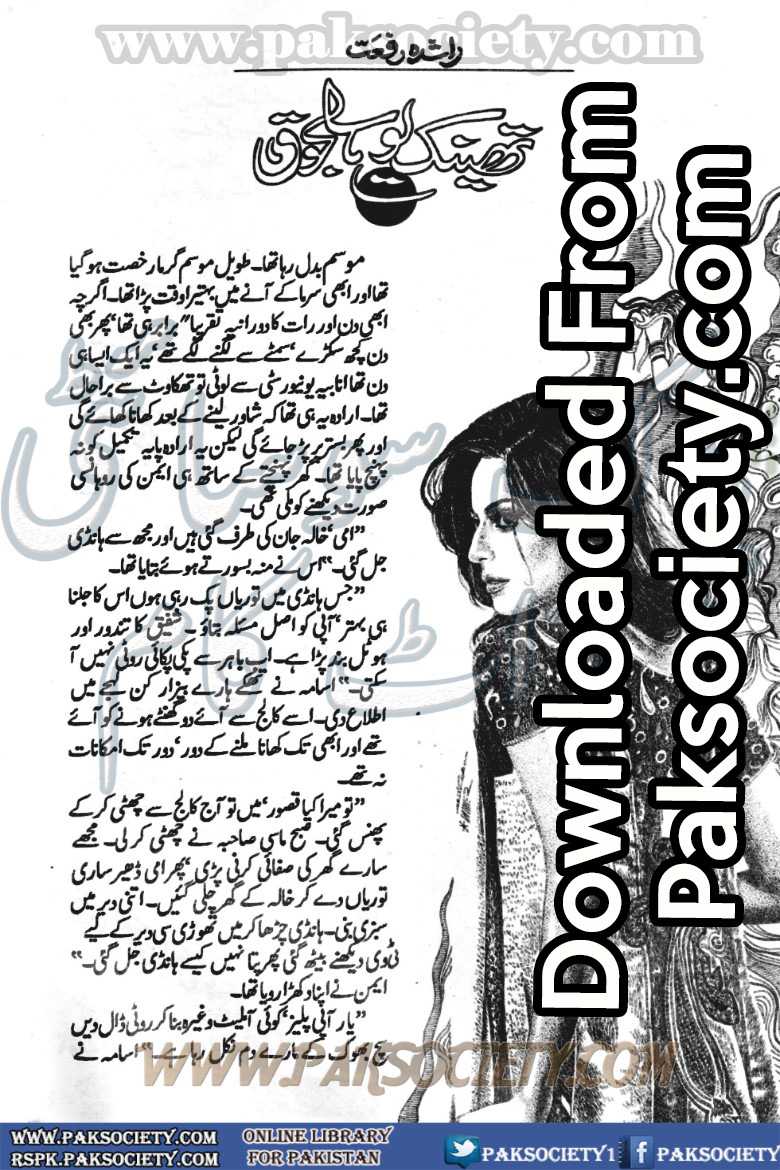 Thank You Saljooq (ebook)