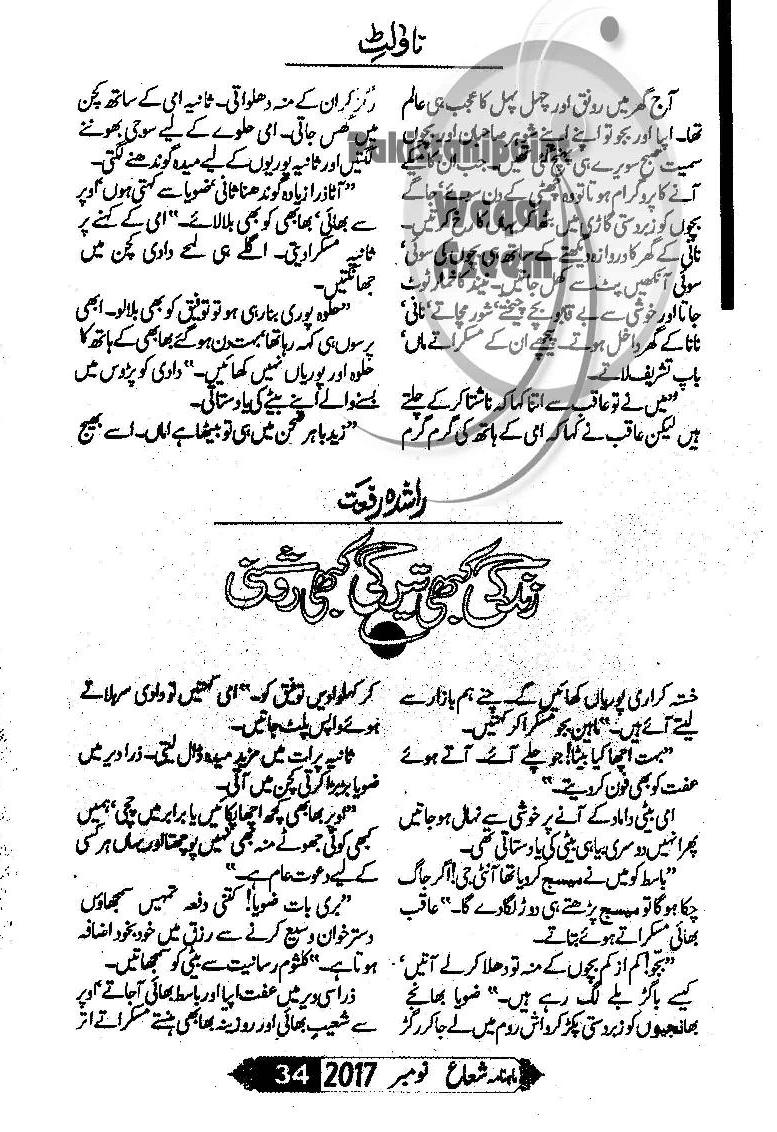 Zindagi Kabhi Roshni Kabhi Teergi (ebook)