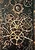 Cybernetica: Mars Must Be Purged [Signed Limited Edition] - The Horus Heresy Novella Hardcover (Warhammer 40,000 40K 30K)