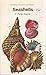 Seashells (Hamlyn all-colour paperbacks. Natural history)
