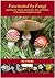 Fascinated by Fungi: Explor...