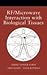 RF/ Microwave Interaction With Biology Tissues (06) by André - Vorst, Vander - Rosen, Arye - Kotsuka, Youji [Hardcover (2006)]