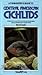 Central American Cichlids