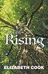 The Rising