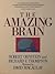Amazing Brain