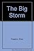 The Big Storm by Rhea Tregebov (1993-06-04)