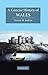 A Concise History of Wales (Cambridge Concise Histories) 1st (first) Edition by Jenkins, Geraint H. [2007]