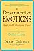 Destructive Emotions: A Scientific Dialogue with the Dalai Lama