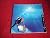 Trésors d'océans  by Isabelle Renard