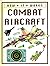 Combat aircraft (How it works)