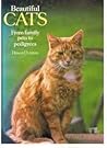 Beautiful Cats: From Family Pets to Pedigrees