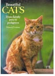 Beautiful Cats: From Family Pets to Pedigrees (Hardcover)