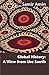 Global History: A View from the South by Samir Amin (2010-11-25)