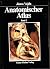 Anatomischer Atlas Band 2 R...