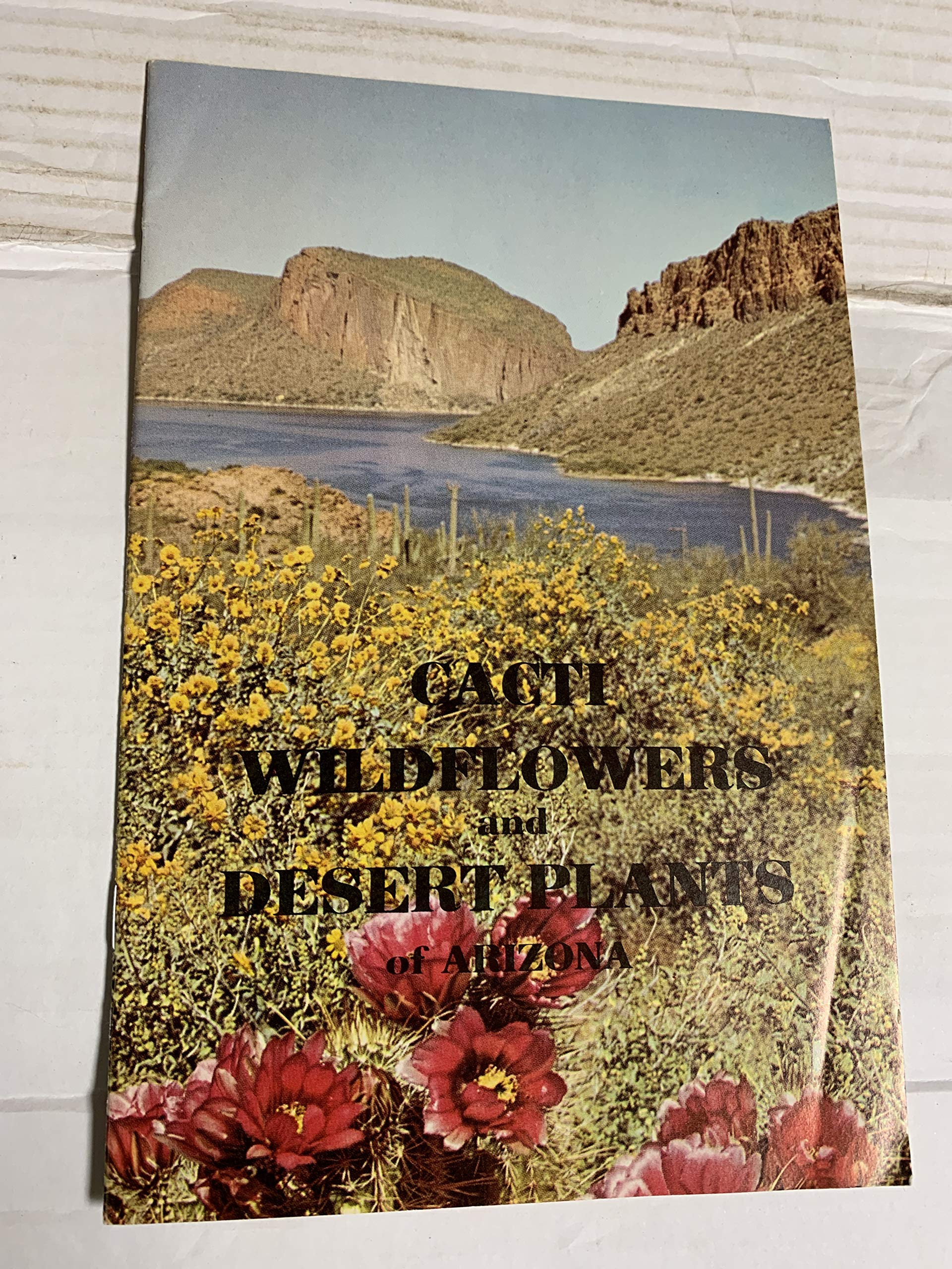 Cacti Wildflowers and Desert Plants of Arizona (Paperback)