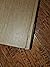 Twentieth-Century Literary Criticism, Topics Volume: 34