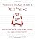 What It Means to Be a Red Wing: Detroit's Greatest Players Talk about Detroit Hockey by Steve Yzerman (Foreword), Kevin Allen (1-Sep-2006) Hardcover