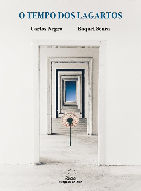 O tempo dos lagartos (Paperback)