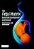 The Fetal Matrix: Evolution, Development and Disease by Peter Gluckman (18-Nov-2004) Paperback