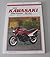Clymer Kawasaki Ex500 Gpz500s