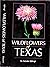 1984 WILDFLOWERS OF TEXAS I...