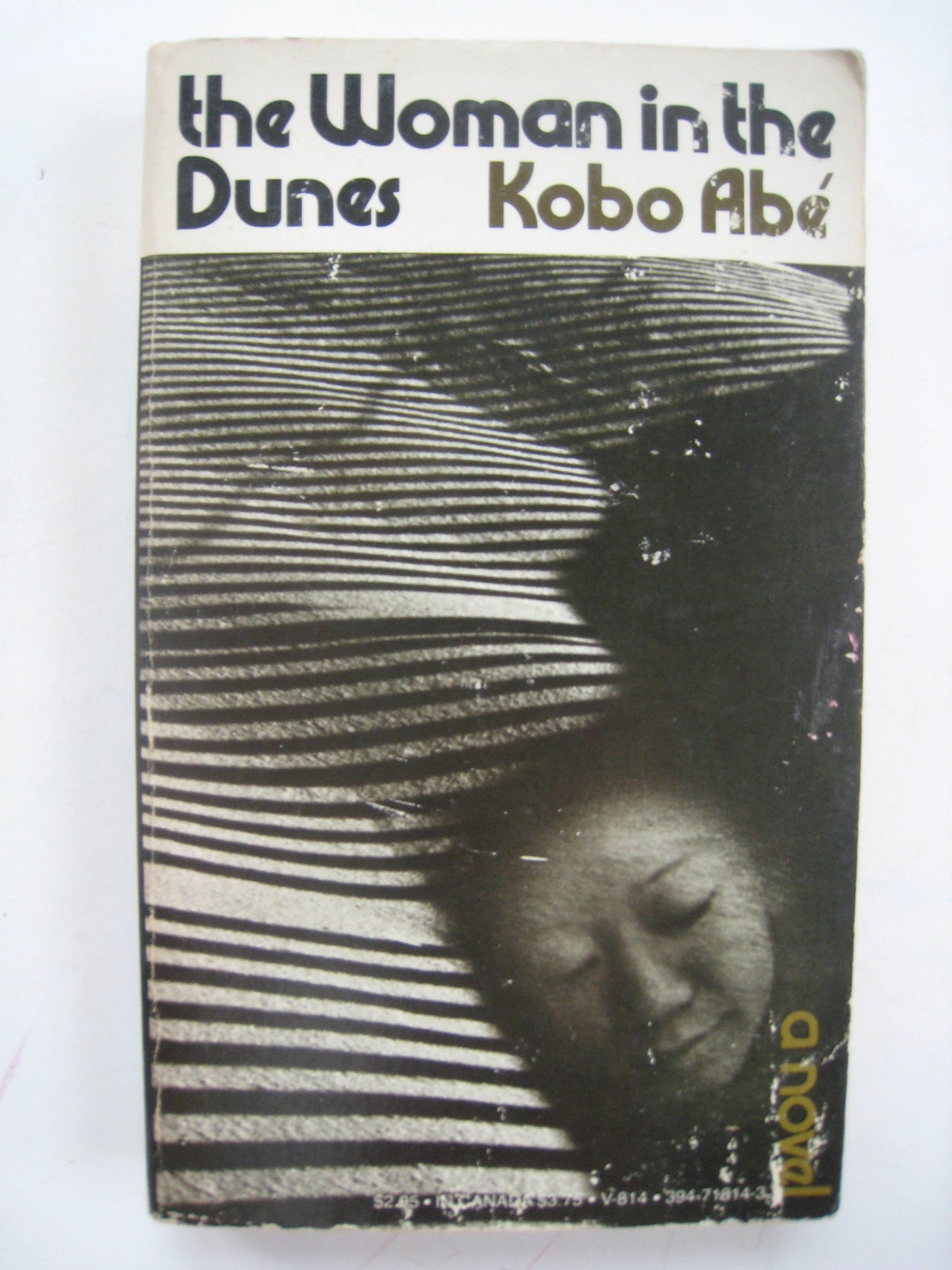The Woman in the Dunes