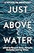 Just Above Water: A YA Anth...