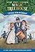 Civil War on Sunday (The magic tree house) by Mary Pope Osborne by Mary Pope Osborne