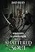 Shattered Soul by JMD Reid