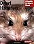 Dwarf Hamsters (Complete Pet Owner's Manual) by Sharon Vanderlip(1905-06-16)