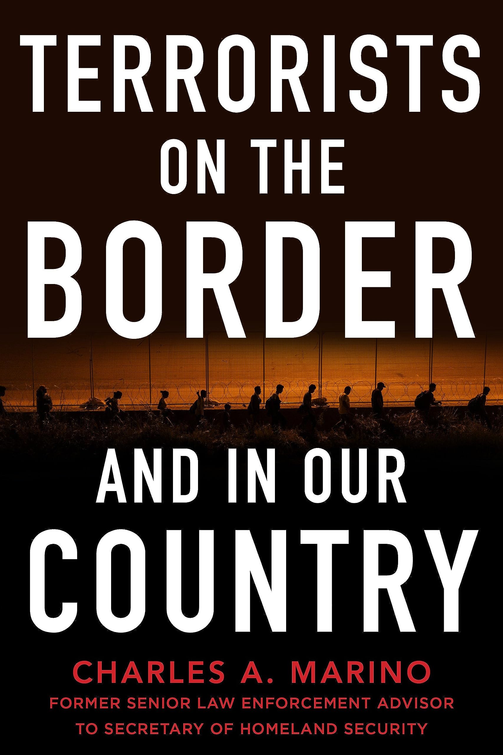 Terrorists on the Border and in Our Country (Hardcover)