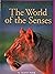 Leveled Reader Library Level 5 The World of the Senses by Alice Park