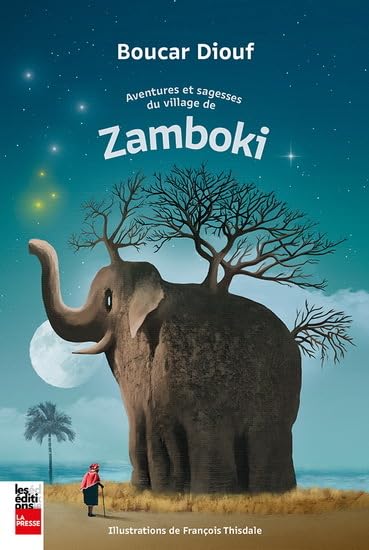 Aventures et sagesses du village de Zamboki (Paperback)