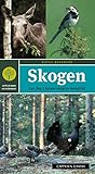 Skogen