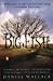 Big Fish by Wallace, Daniel [Paperback]