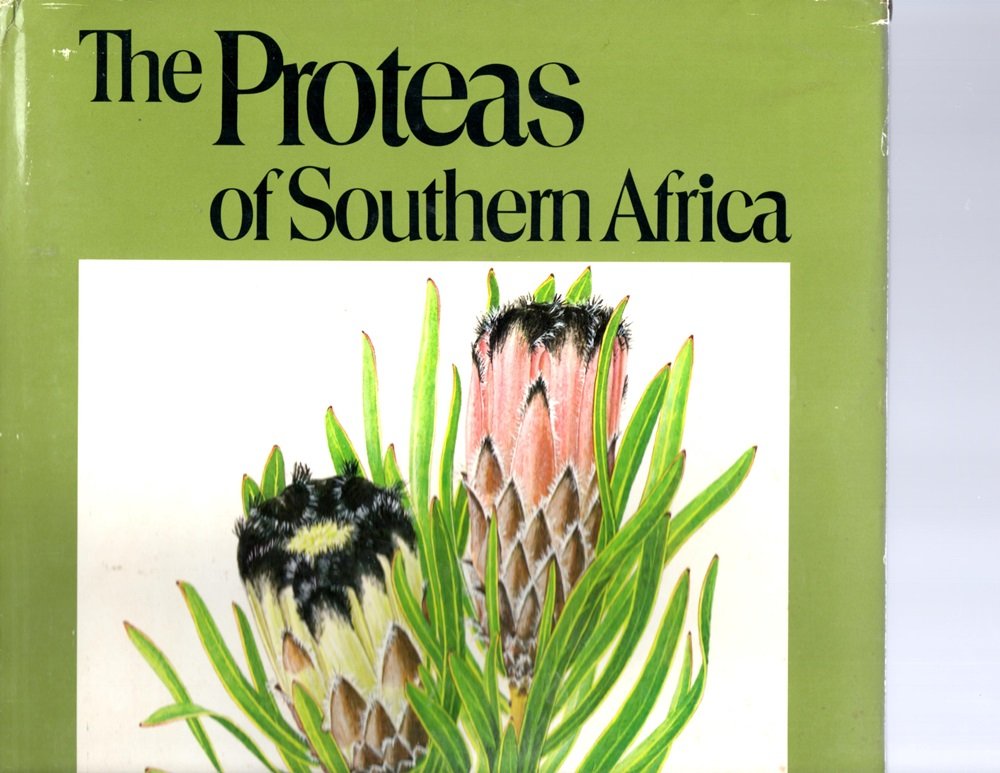 The Proteas of Southern Africa (Hardcover)