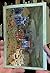 Epic Titan Legions: Codex Titanicus