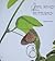 Life Story of a Butterfly HB by Santosh Gupta