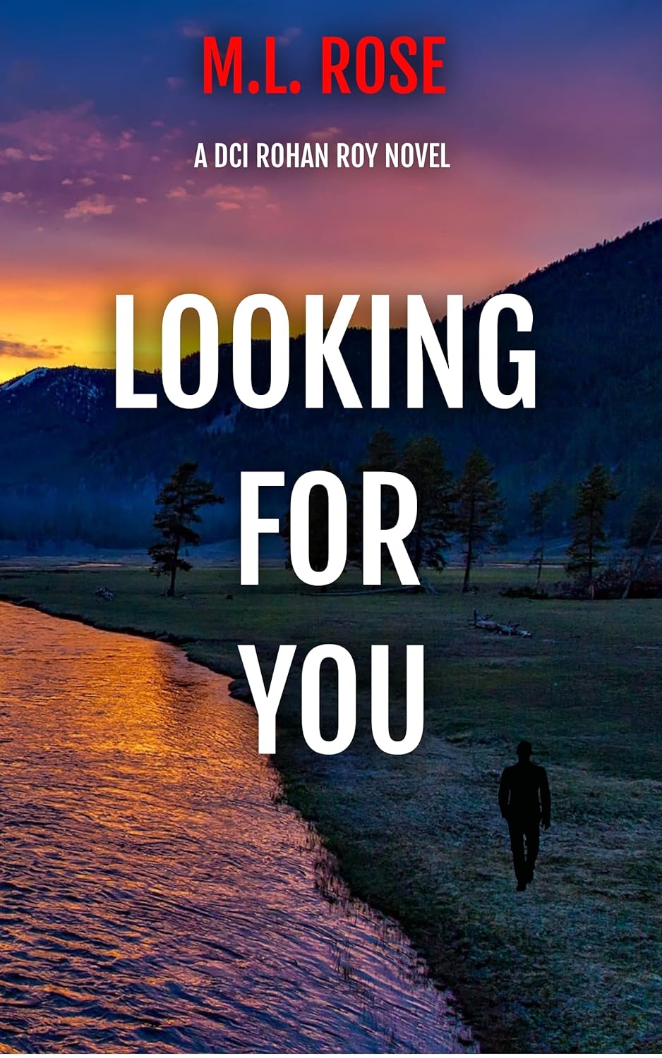 Looking For You (DCI Rohan Roy #6)