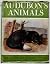 Audubon's Animals: the Quad...