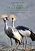 El país de la grulla: Historia de un viaje iniciático a Uganda