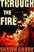 Through the Fire by Shawn Grady (2009-07-01)