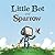 Little Bot and Sparrow by Jake Parker (2016-09-27)
