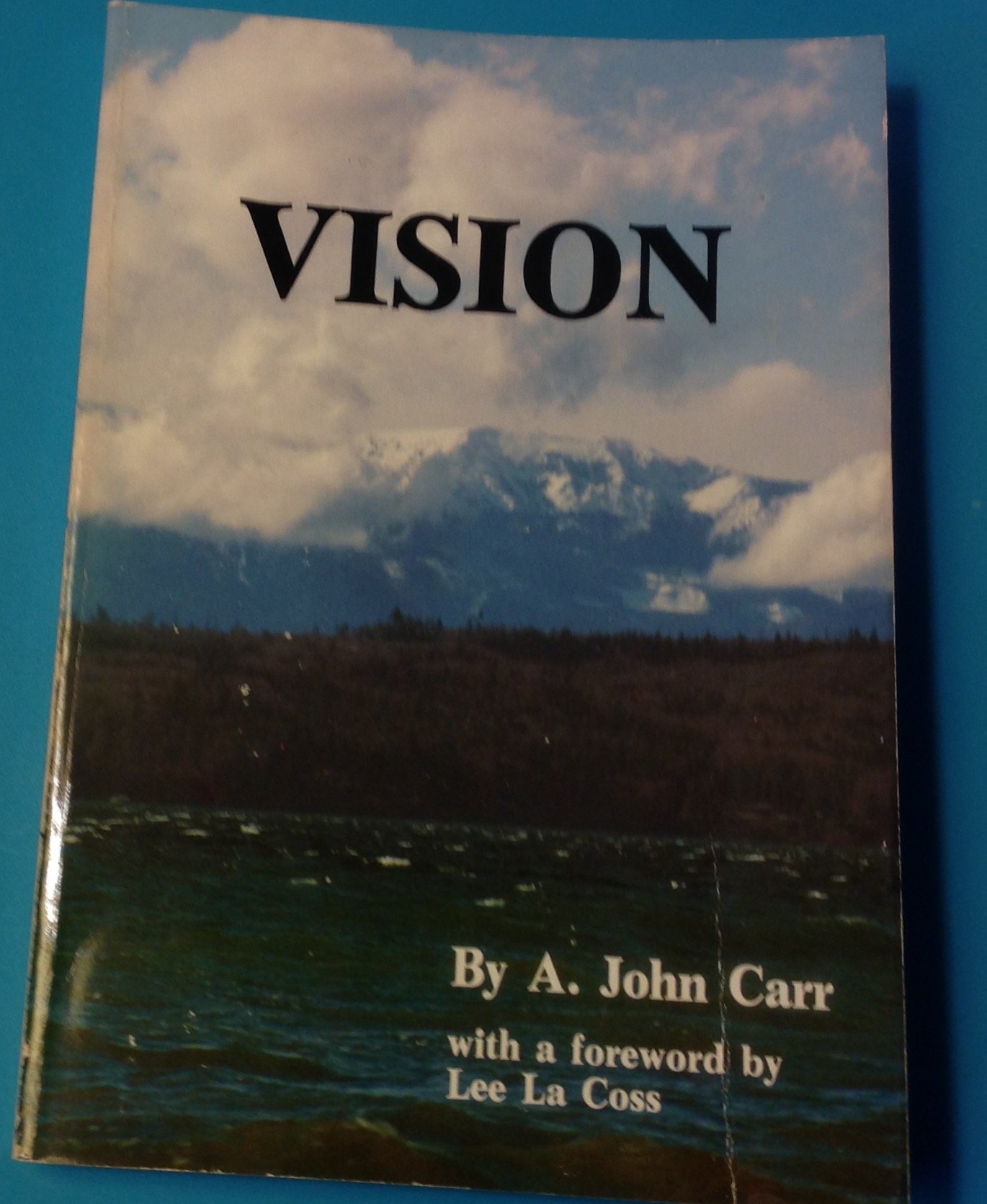 Vision (Paperback)