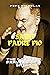 SAINT PADRE PIO by Pope Nicholas  Daniel