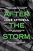 After the Storm by Jane Lythell (4-Jun-2015) Paperback by Jane Lythell